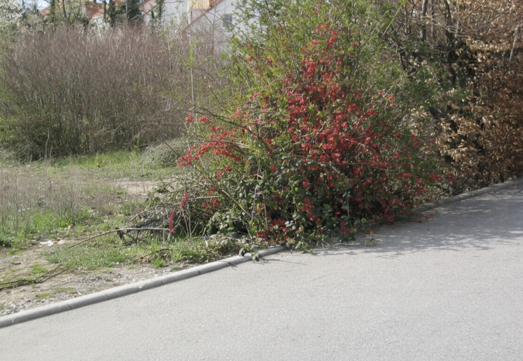 Blick auf Anton Bruckner Strasse vom Maihaeldenspielplatz 2003